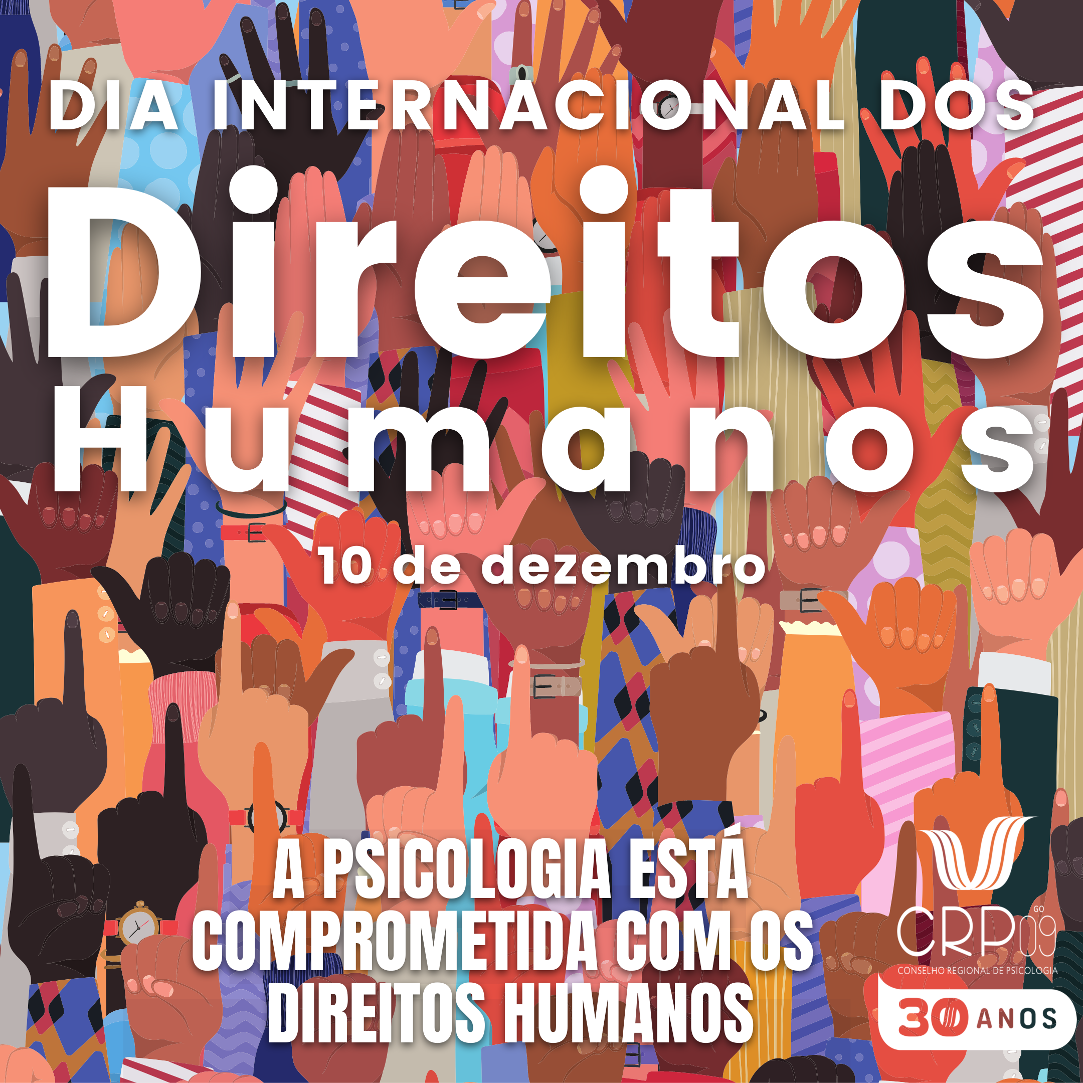 Feed Dia dos Direitos Humanosdffafafafafa